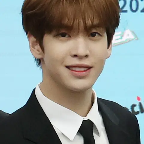 마시권 사진