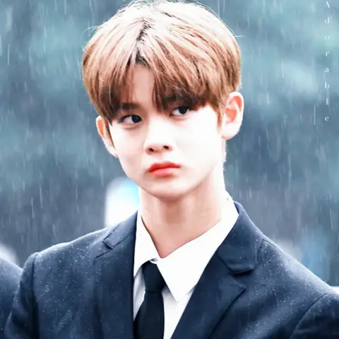 배진영 사진