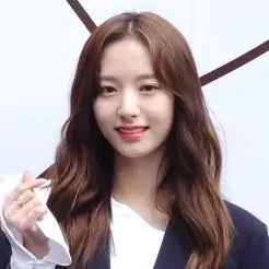 보나 사진