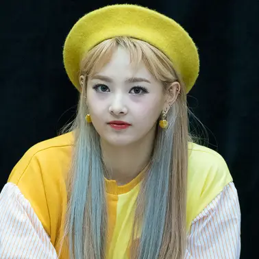 뉴썬 사진