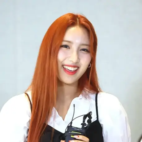 초원 사진