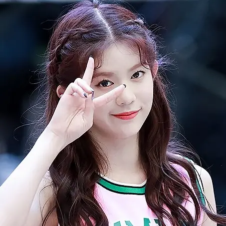 데이지 사진