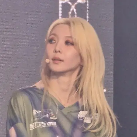 다미 사진