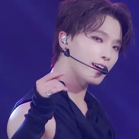 디노 사진
