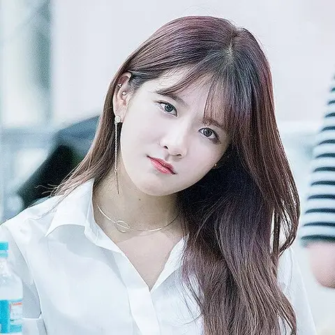 엑시 사진