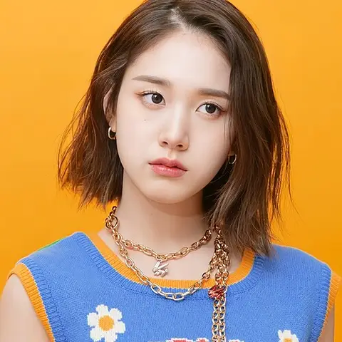 재이 사진