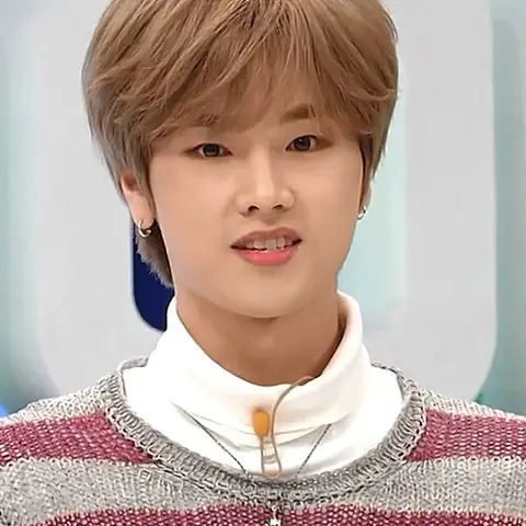 정수 사진