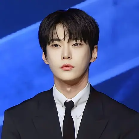 도영 사진