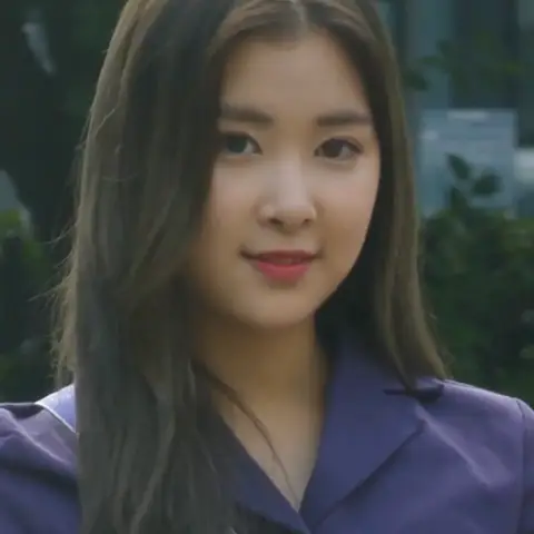 유채 사진