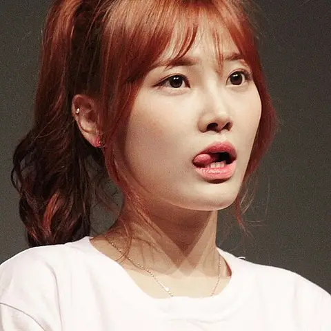 수연 사진
