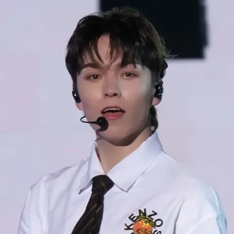 버논 사진