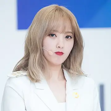 윤조 사진