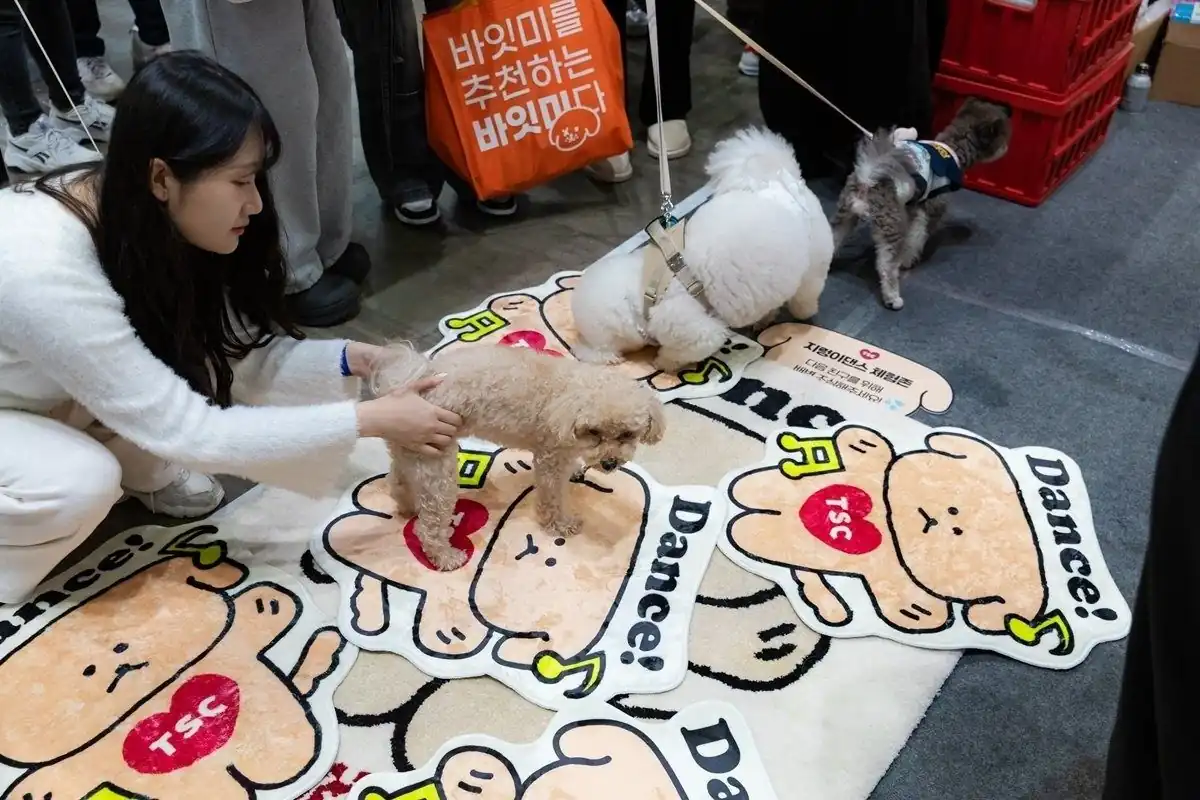 캐릭터 러그 위에서 노는 강아지들