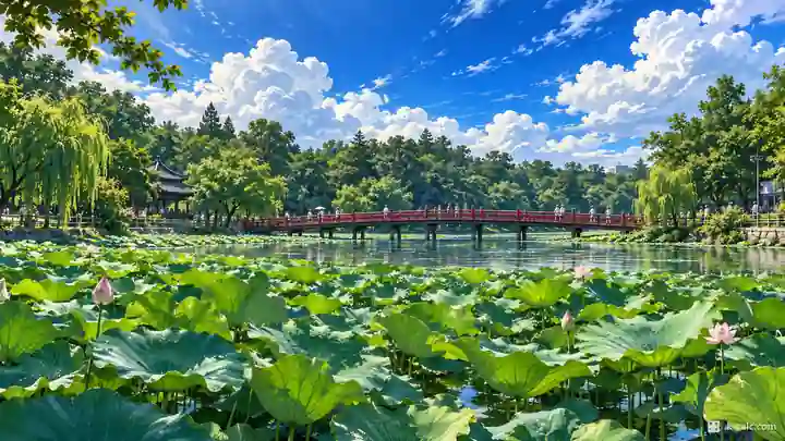 徳津公園の蓮花池, 徳津区・徳津洞1街(トクチンドン1ガ)