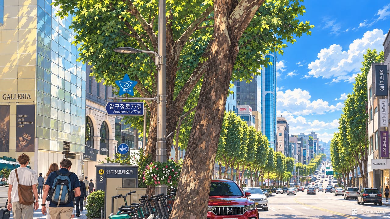 서울특별시 강남구 압구정동, 압구정 로데오거리 풍경 일러스트